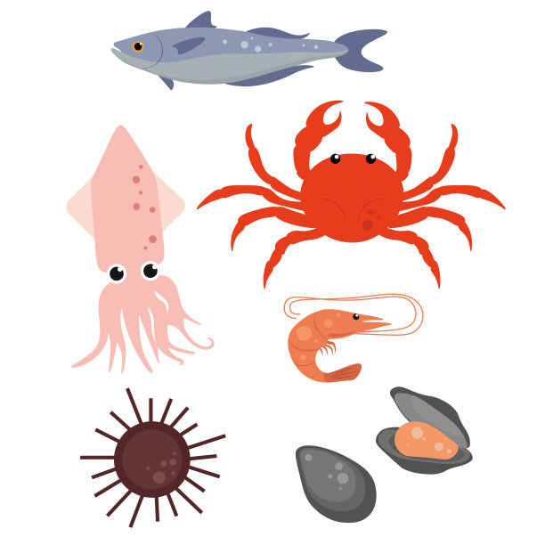 一套美丽的海鲜在白色的背景。矢量鳟鱼，螃蟹，鱿鱼，虾，海胆和贝类的卡通风格。